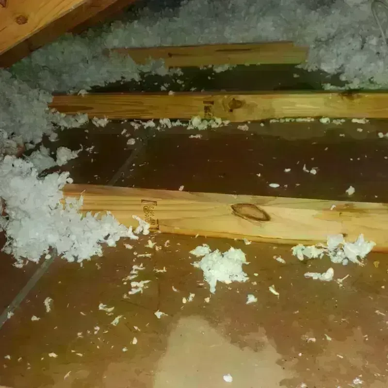 Attic Water Damage in East Brainerd, TN